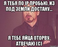 я тебя по ip пробью, из под земли достану... я тебе яйца оторву, атвечаю (с)