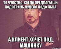 то чувство, когда предлагаешь подстричь пуделя подо льва а клиент хочет под машинку