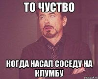 то чуство когда насал соседу на клумбу