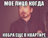 мое лицо когда кобра еще в квартире