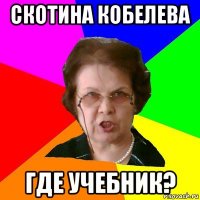 скотина кобелева где учебник?