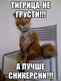 тигрица, не грусти!!! а лучше сникерсни!!!