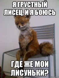 я грустный лисец, и я боюсь где же мои лисуньки?