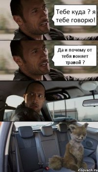 Тебе куда ? я тебе говорю! Да и почему от тебя воняет травой ?