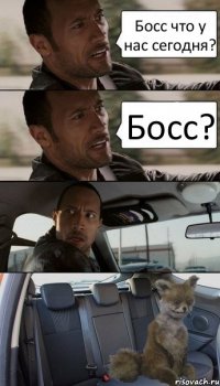 Босс что у нас сегодня? Босс?