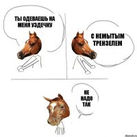 ТЫ ОДЕВАЕШЬ НА МЕНЯ УЗДЕЧКУ С НЕМЫТЫМ ТРЕНЗЕЛЕМ НЕ НАДО ТАК