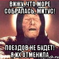 вижу, что море собралась, митус! поездов не будет! я их отменила