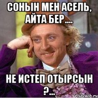 сонын мен асель, айта бер.... не истеп отырсын ?...