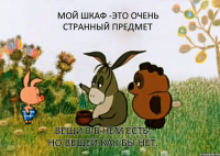 мой шкаф -это очень странный предмет вещи в в нем есть, но вещей как бы нет.