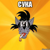 сука 