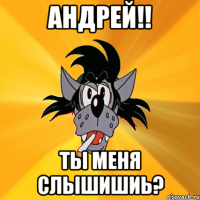 андрей!! ты меня слышишиь?