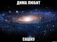 дима любит сашку