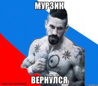 мурзик вернулся