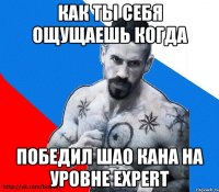 как ты себя ощущаешь когда победил шао кана на уровне expert