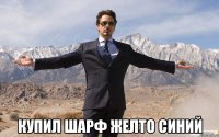  купил шарф желто синий