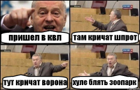 пришел в квл там кричат шпрот тут кричат ворона хуле блять зоопарк