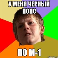 у меня черный пояс по м-1