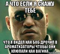 а что если я скажу тебе что я видел как боб дрочил в ароматизаторы чтобы они хлюпали как вагина