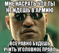 мне насрать что ты не идешь в армию всё равно будешь учить уголовное право