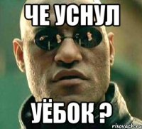 че уснул уёбок ?