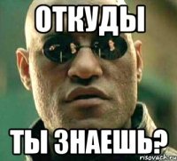 откуды ты знаешь?