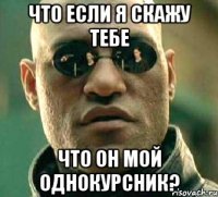 что если я скажу тебе что он мой однокурсник?