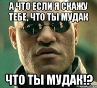 а что если я скажу тебе, что ты мудак что ты мудак!?