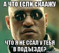 а что если скаажу что я не ссал у тебя в подъезде?