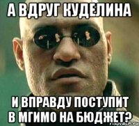 а вдруг куделина и вправду поступит в мгимо на бюджет?