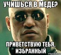 учишься в меде? приветствую тебя, избранный