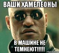 ваши хамелеоны в машине не темнеют!!!