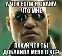 а что если я скажу что мне похуй что ты добавила меня в чс?