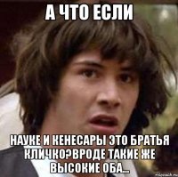 а что если науке и кенесары это братья кличко?вроде такие же высокие оба...