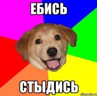 ебись стыдись