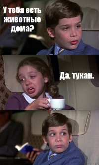 У тебя есть животные дома? Да, тукан. 