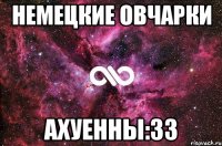 немецкие овчарки ахуенны:33