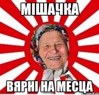 мiшачка вярнi на месца