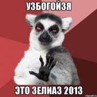 узбогойзя это зелиаз 2013