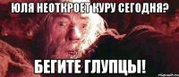 юля неоткроет куру сегодня? бегите глупцы!