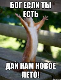 бог если ты есть дай нам новое лето!