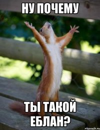 ну почему ты такой еблан?