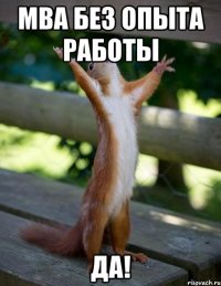 mba без опыта работы да!