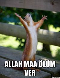  allah maa ölüm ver