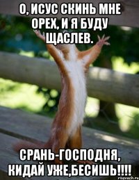 о, исус скинь мне орех, и я буду щаслев. срань-господня, кидай уже,бесишь!!!