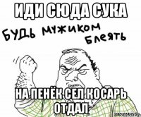 иди сюда сука на пенёк сел косарь отдал