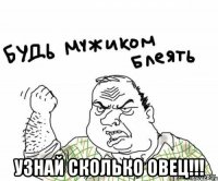  узнай сколько овец!!!