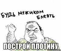  построй плотину