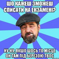 шо кажеш зможеш списати на екзамені? ну-ну, якшо шось то місце он там під березою твоє