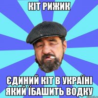 кіт рижик єдиний кіт в україні який їбашить водку