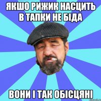 якшо рижик насцить в тапки не біда вони і так обісцяні